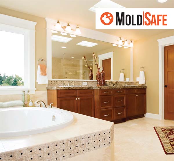 Home - Mold Safe - Warranty Moose Jaw